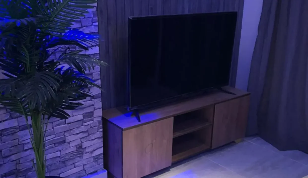 1-Bedroom Apartment for Rent in Lotus Compound - Image 7