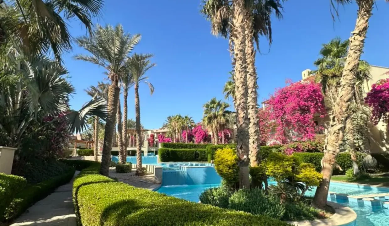 Studio for Daily Rent in Veranda - Image 12