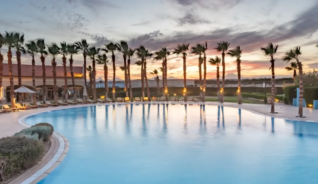 Studio for Daily Rent in Veranda - Image 13